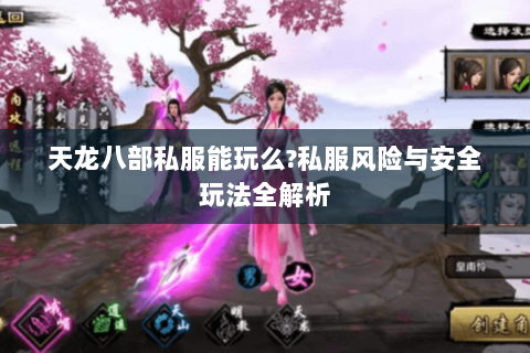 天龙八部私服能玩么?私服风险与安全玩法全解析