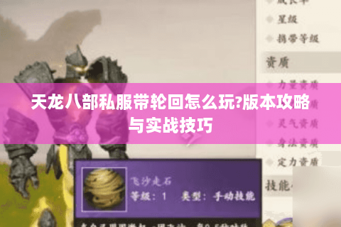 天龙八部私服带轮回怎么玩?版本攻略与实战技巧
