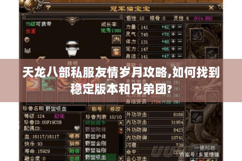 天龙八部私服友情岁月攻略,如何找到稳定版本和兄弟团?