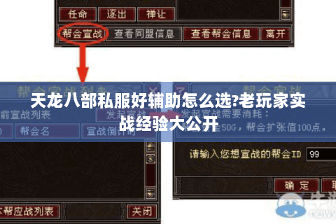 天龙八部私服好辅助怎么选?老玩家实战经验大公开