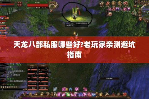 天龙八部私服哪些好?老玩家亲测避坑指南