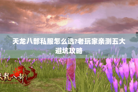 天龙八部私服怎么选?老玩家亲测五大避坑攻略
