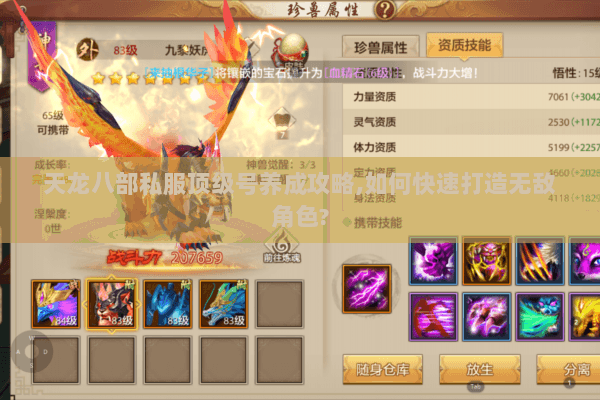 天龙八部私服顶级号养成攻略,如何快速打造无敌角色?