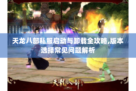 天龙八部私服启动与卸载全攻略,版本选择常见问题解析