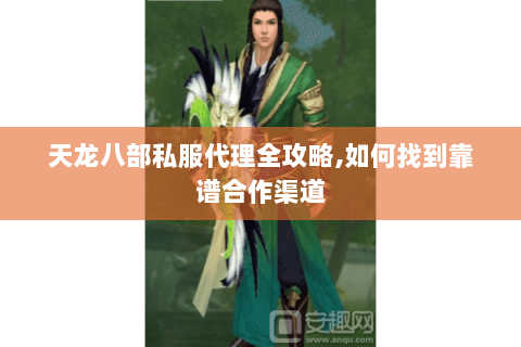 天龙八部私服代理全攻略,如何找到靠谱合作渠道