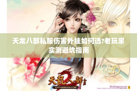 天龙八部私服伤害外挂如何选?老玩家实测避坑指南