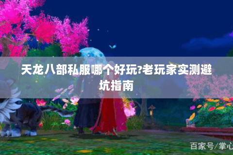 天龙八部私服哪个好玩?老玩家实测避坑指南