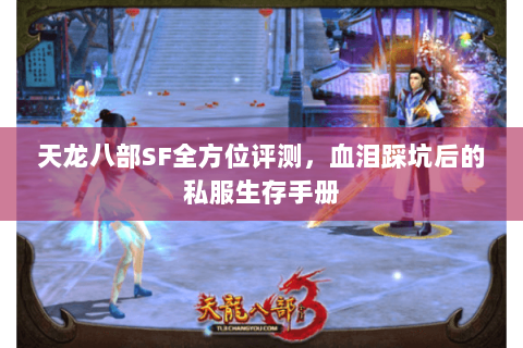 天龙八部SF全方位评测，血泪踩坑后的私服生存手册