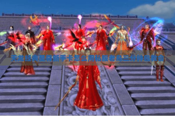天龙经典至尊新手卡怎么用私服老鸟三分钟包教会