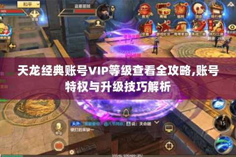 天龙经典账号VIP等级查看全攻略,账号特权与升级技巧解析