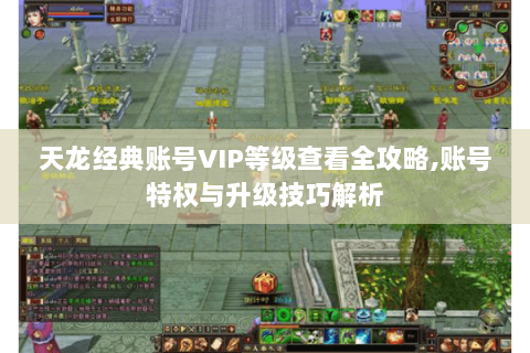 天龙经典账号VIP等级查看全攻略,账号特权与升级技巧解析