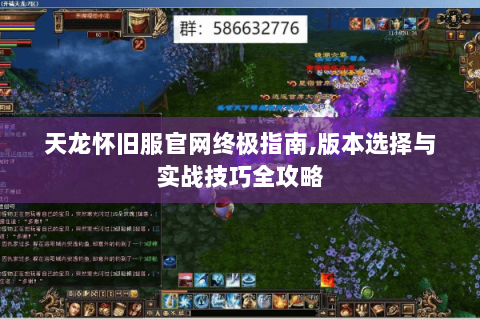 天龙怀旧服官网终极指南,版本选择与实战技巧全攻略