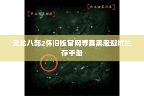 天龙八部2怀旧版官网寻真黑服避坑生存手册