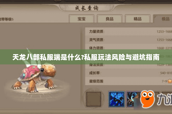 天龙八部私服端是什么?私服玩法风险与避坑指南