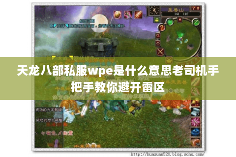 天龙八部私服wpe是什么意思老司机手把手教你避开雷区
