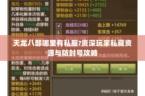 天龙八部哪里有私服?资深玩家私藏资源与防封号攻略