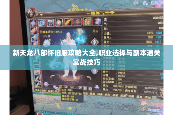 新天龙八部怀旧服攻略大全,职业选择与副本通关实战技巧